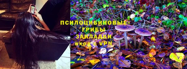 дживик Бронницы