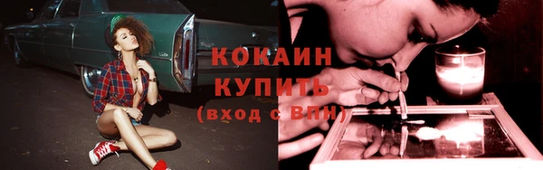 дживик Бронницы