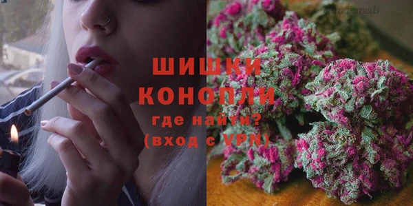 дживик Бронницы