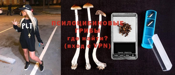герыч Бородино