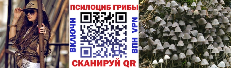 Купить закладки  Нижний Ломов  Галлюциногенные грибы мухоморы 